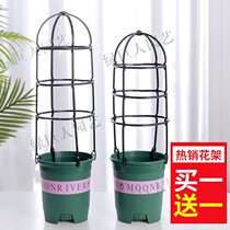 Green Vine mountain tortoise climbing cane (buy one get one free) gardening vine climbing tree balcony clematis fragrant Vine bracket