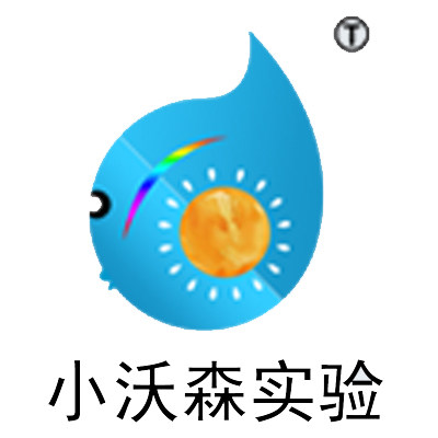 小沃森实验