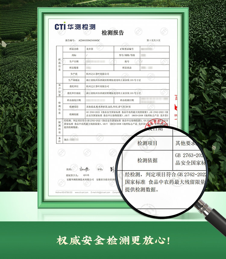 【中国直邮】 狮峰茶叶 2025年新茶上市特级明前龙井茶叶 龙井43号杭州绿茶春茶 100g/罐