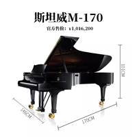 M170 Герман Гамбург [совершенно новый]