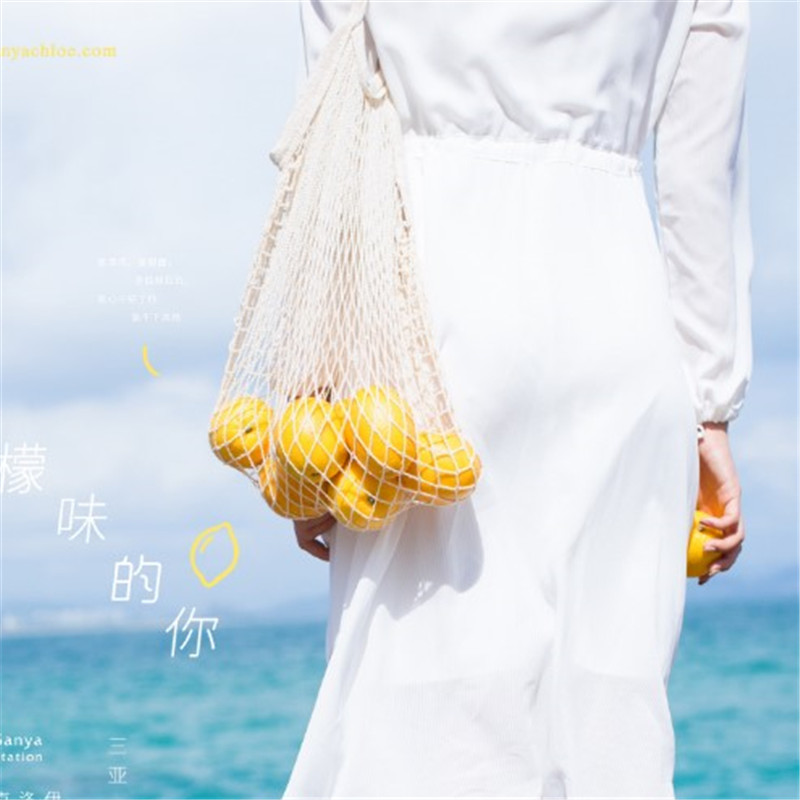 Wedding Dress Photo Photographic Props Creative Personality Brigade Pat Lovers Online Pocket Shopping Bags Small Freshener Dress Flower Lemon Bag