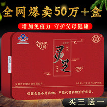 Buy 3 get 1 Guzhitang Ganoderma lucidum spore powder Changbai Mountain broken wall Ganoderma lucidum robe powder Ganoderma lucidum powder spore powder