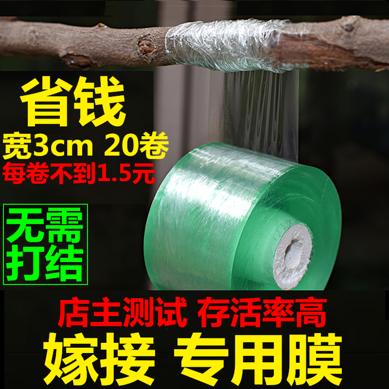 Fruit tree grafting film 3cm sapling bandaging with no need to knotted self-adhesive wrapping film pvc transparent film