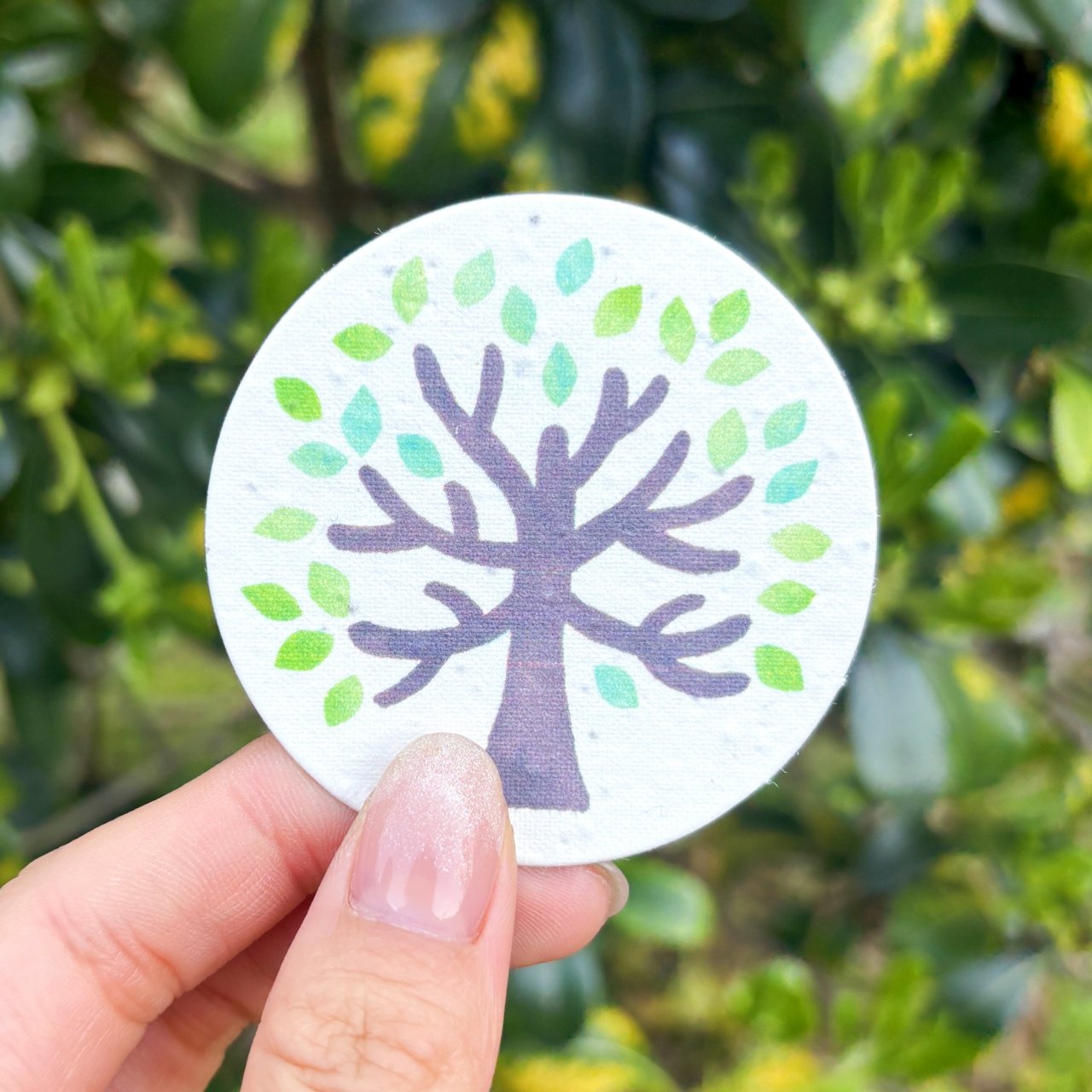 大树种子纸卡片：幼儿园植树节神器！发芽贺卡圆卡太治愈了！-文化创意明信片-淘宝好物网