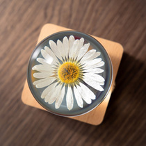 Binju Yongshenghua 2021 new night light charging atmosphere lamp bedroom sleep romantic female birthday Christmas gift