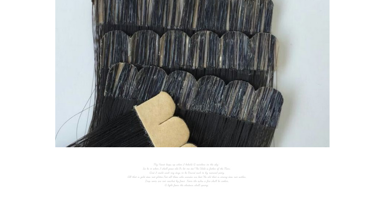 Extension cheveux - Ref 218015 Image 7