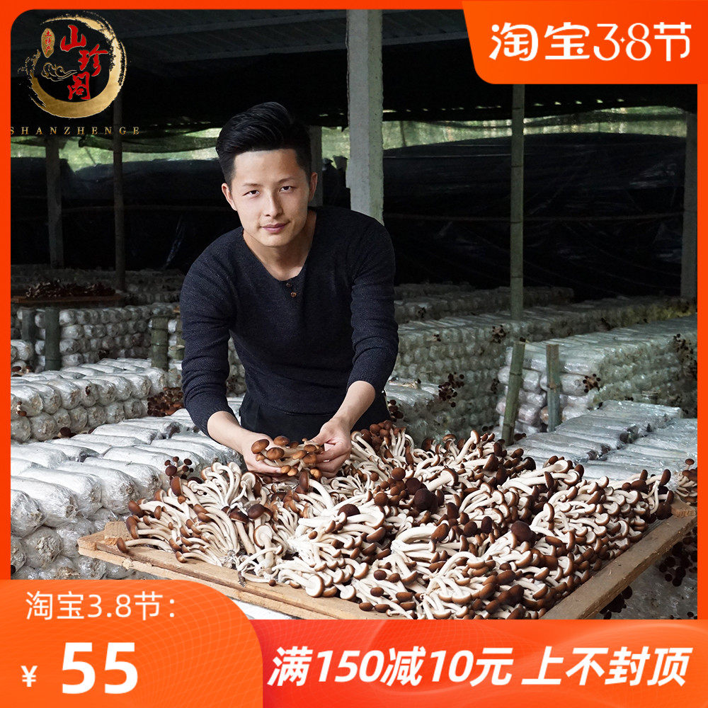 2021 new dried goods mushrooms self-produced without open umbrella tea tree mushrooms agricultural products Jianning earth 500 gr