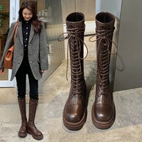 Plusal Brown Standard Edition