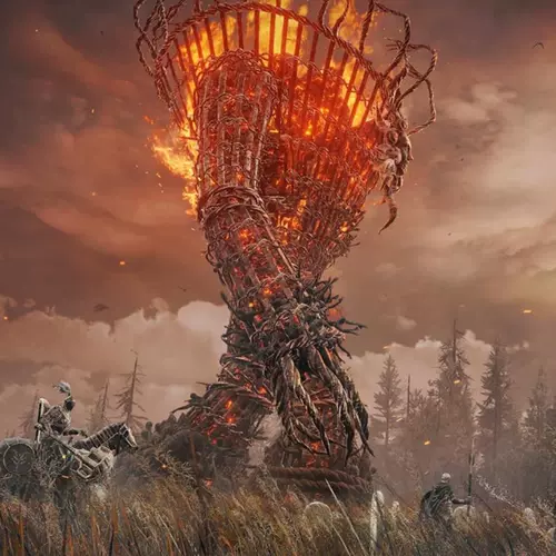 Sony PS5 игра Эдден Французское кольцо Золотое дерево тень содержит DLC Golden Tree Shadow Chink Spot