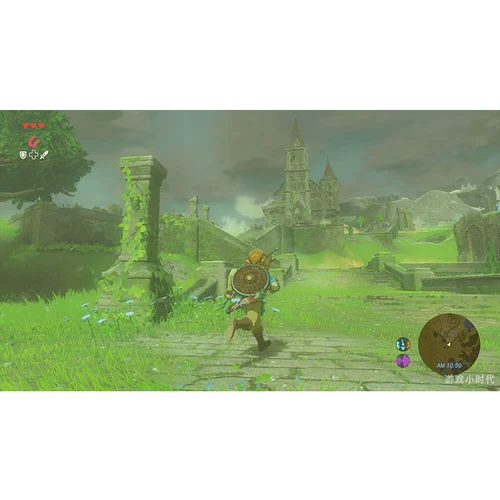 Nintendo Switch NS вторая игра Zelda Chinest Spot Zelda Chinest Spot