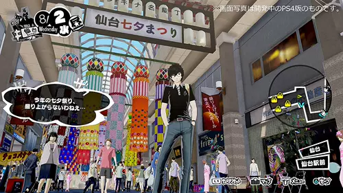 Switch NS Game P5S Goddess Strange Record 5 Хаос Бой