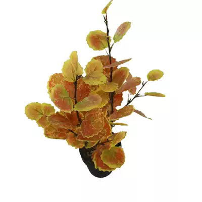 Simulation plant leaves Tropical trees poplar leaves poplar leaves DIY background leaf screen decoration direct sales