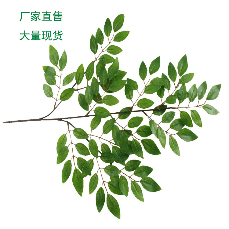 New High-Quality Artificial Plant Leaves, Red Bean Flower Leaves, Locust Tree Leaves for Indoor Decoration, Background Elm Tree Leaves, Shrubs Direct Sale