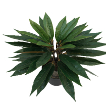 Simulation of Castanopsis leaves often green plants interior furniture decoration trees leaves oak trees green bars landscaping scenes