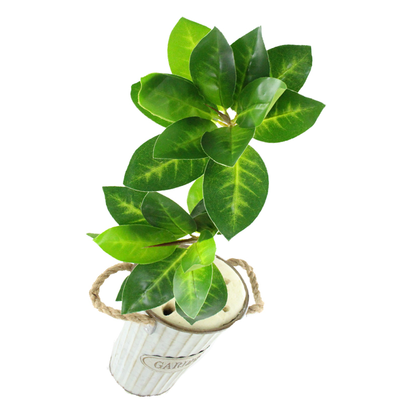 Artificial Plants, Fake Leaves, New Red Sea Lotus, Olive Leaves, Laminated Leaves for Photography, Museum Decoration Projects, Direct Sales