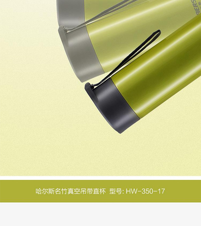 HW-350-17_06.jpg