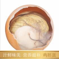 Juice fresh and delicious nutrition chicken embryo eggs 20 Gaoyou live beads fresh 13 days hairless laying hens happy eggs bulk ready to eat