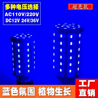 Super bright blue LED corn light Plant growth light Silk blue light atmosphere bulb 12V24V36V110V220V