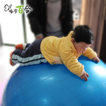 Hayu 120CM dragon ball childrens sensory integration training ball explosion-proof thickening fitness ball baby sensory integration massage stimulation