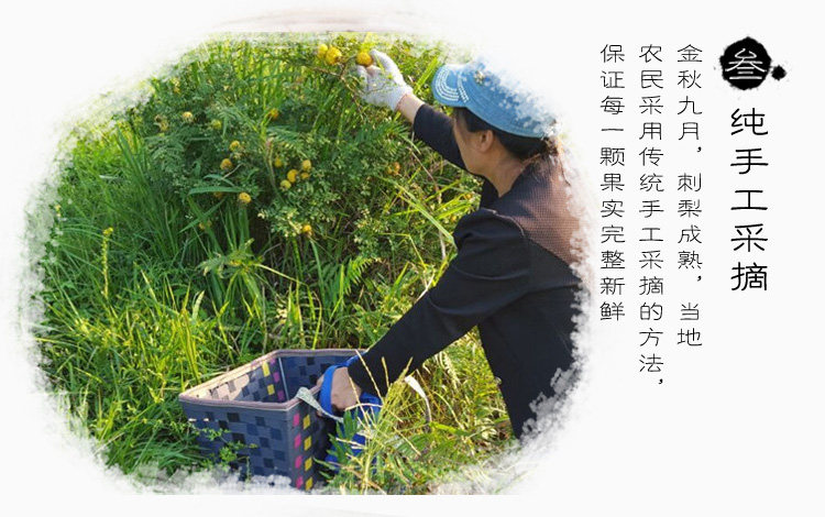 刺梨刺梨干250克贵州龙里刺梨果脯 贵州龙里-食品商务网