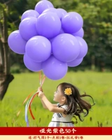 [50] 10 -INCH MATTE Purple