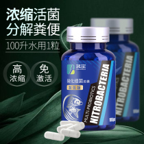 Fish Tank Aquarium Nitrifying Bacteria Concentrate Nitrifying Bacteria Dry Powder Capsule Stable Water Quality Aquatic Pharmaceutical Purifying Water Quality