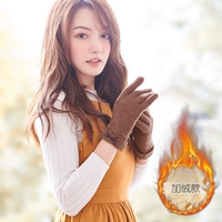 Dy03 плюс бархатный глубокий кофе