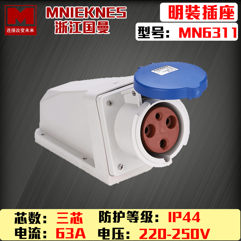Zhejiang Guoan MN6311 Design MNIEKNES220V Three holes IP44 blue Ming dress waterproof industrial socket 2P E
