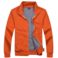 WY308 Толстый апельсин