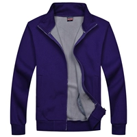 WY308 толстый фиолетовый