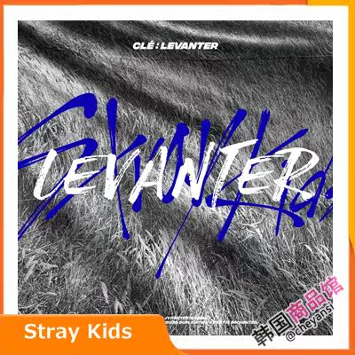 Full of Stray Kids General Clé: The Official Card of LEVANTER