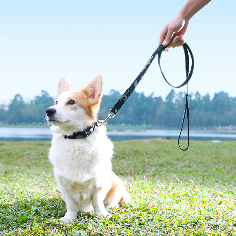 Yakota dog leash dog chain collar training dog rope tactical walking dog rope medium and large pet supplies