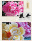 Customized Hunan embroidery boutique ດອກກຸຫລາບ peony, ການຕົກແຕ່ງຫ້ອງດໍາລົງຊີວິດອຸດົມສົມບູນສີ, ຫັດຖະກໍາບໍລິສຸດ, ຂອງຂວັນປີໃຫມ່ທີ່ແທ້ຈິງ