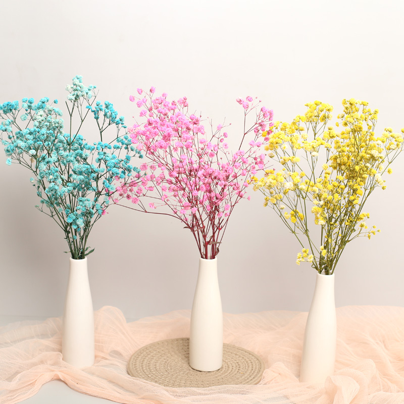 Yunnan immortal starry dry flower bouquet real flower living room desktop decoration decoration ins Nordic style shooting props