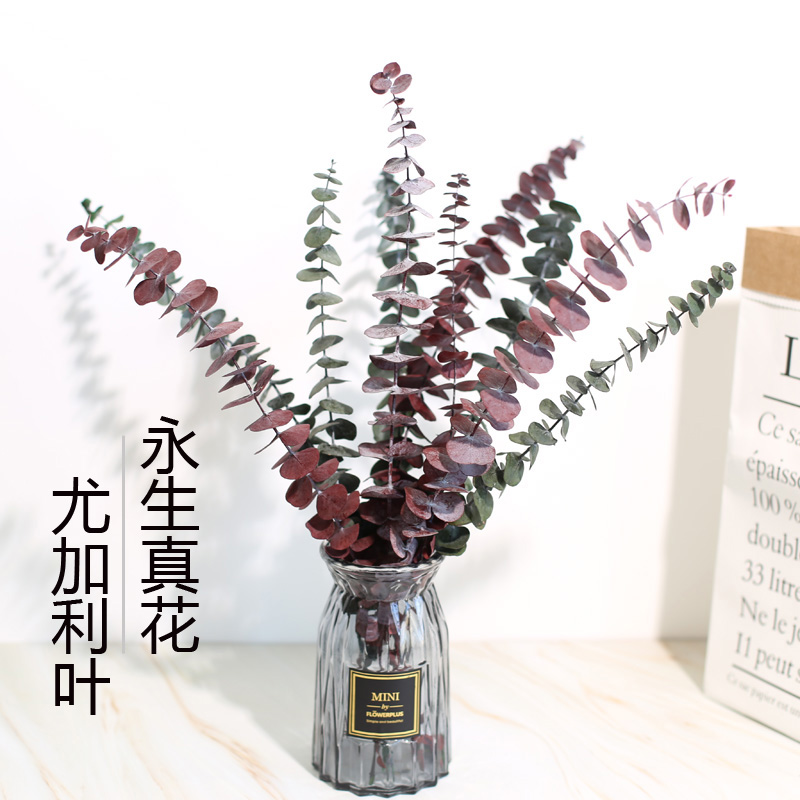 Yugali leaf dry flower bouquet evergreen flower net red ins Nordic wind living room Decorative Pendulum shooting props-Taobao