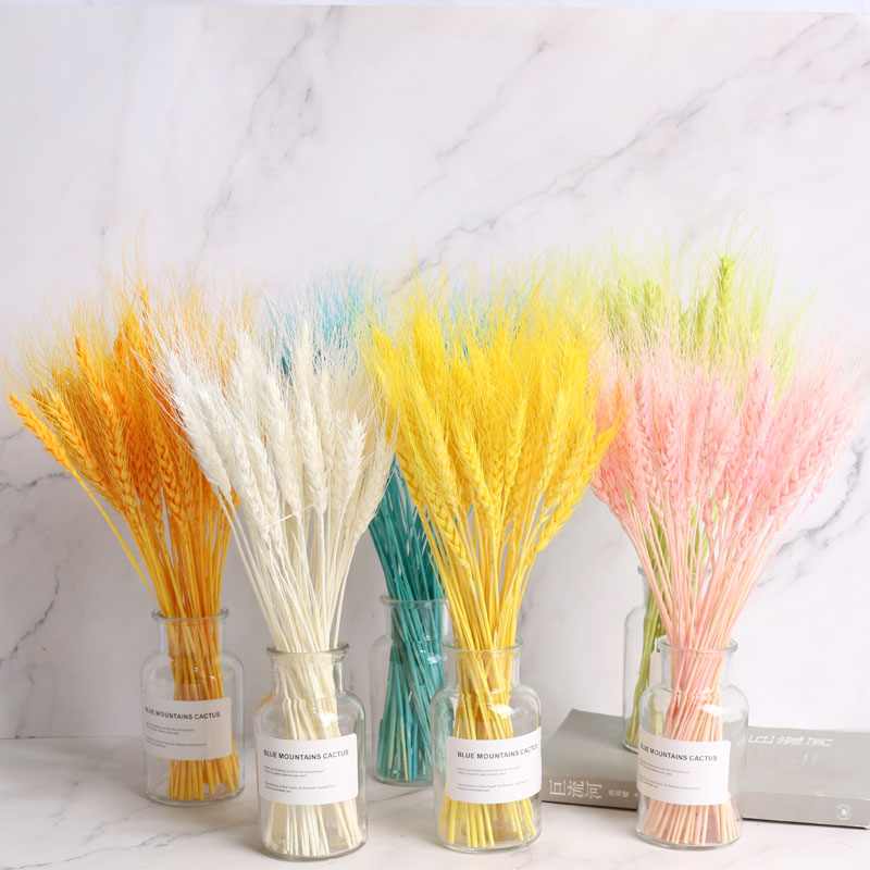 Dried flower bouquet Color wheat ear ins Nordic style home decoration decoration flower arrangement Net red small fresh photo props