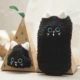 Big Eye Cat-No Box