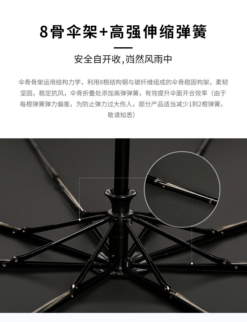 30827 -details -1_05.jpg