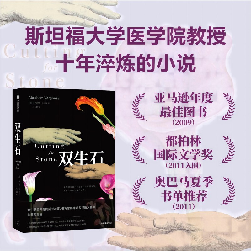 Twin Stones by Abraham Vikes: the Story of the Growth and Legend of Twin Brothers, a Novel Crafted over Ten Years by a Stanford University School of Medicine Professor, Published by Citic Press, Genuine Edition