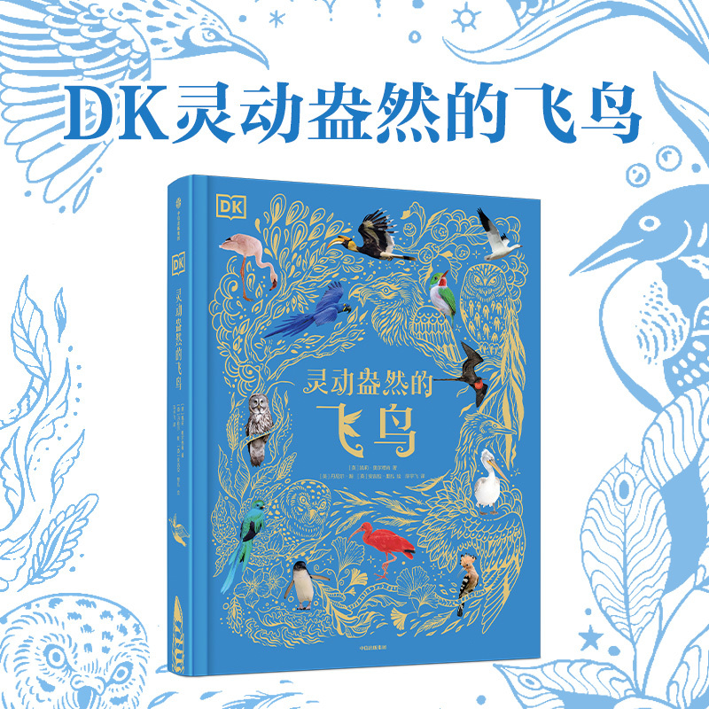 [7-15 Years Old] Dk's Vibrant Birds by Hall, Citic Press Group, Authentic Edition