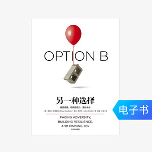 【电子书售出不退不换】另一种选择