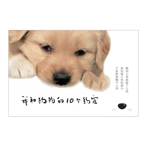 我和狗狗的10个约定 [日]川口晴 中信出版社图书 畅销书 正版书籍