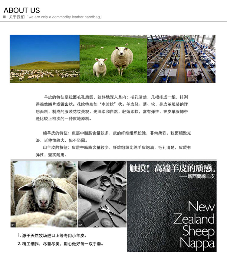 Gants pour vélo homme - Ref 2250467 Image 17