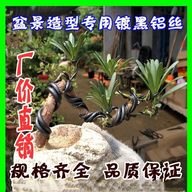 Đen dây nhôm DIY Zhasi flower bracket 500 gam vận chuyển nguồn cung cấp vườn bonsai mô hình đặc biệt dây nhôm vòi phun sương tưới cây