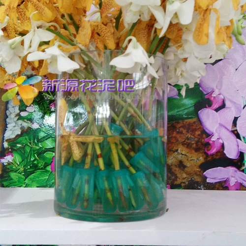 [洋兰管鲜花保水保鲜管鲜花培养管营养管大小长短洋乃管批发]