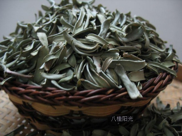 Hoang dã lá chanh dầu Amla dầu Kangoo lá lá bò tươi Gan gối tự nhiên điền số lượng lớn đặc trưng - Gối gối chống trào ngược cho trẻ sơ sinh