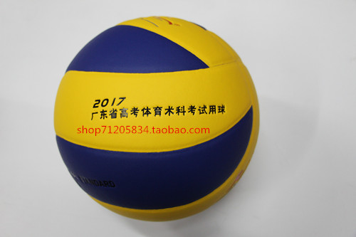 Ballon de volley - Ref 2011156 Image 6