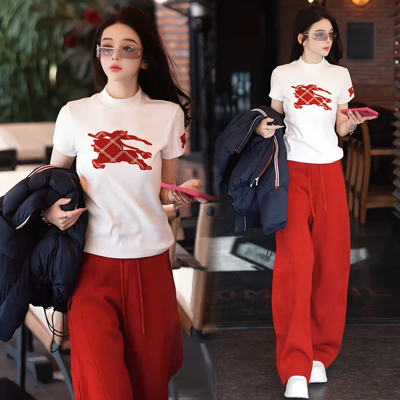 Casual Sports Suit for Women, New Summer Style, Fashionable and Slimming, Pony Print T-Shirt and Wide-Leg Pants Two-Piece Set, Trendy