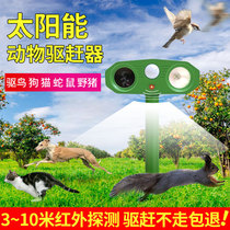 Solar drive wild cat drive dog artifact outdoor rain-proof ultrasonic animal driver drive away snake rat wolf etc.