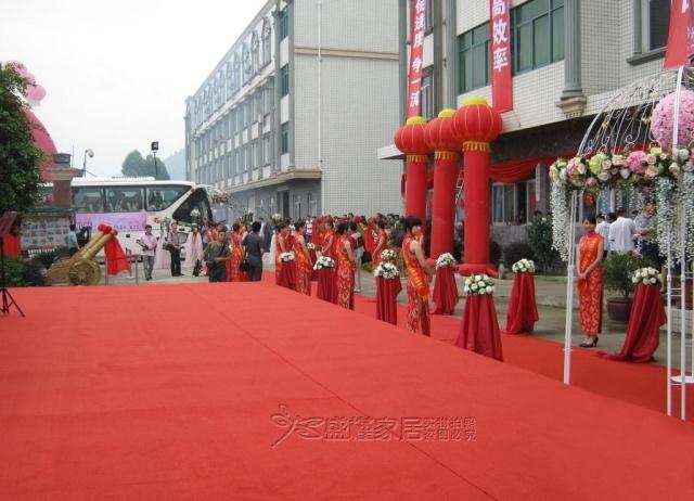 Thảm đỏ dày triển lãm thảm đám cưới thảm một lần mở thảm trắng thảm màu xanh thảm chụp hình